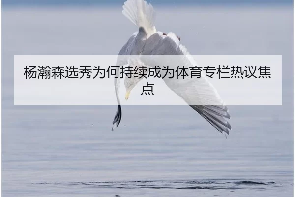 杨瀚森选秀为何持续成为体育专栏热议焦点